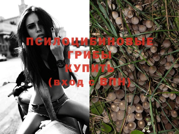 кокс Абинск