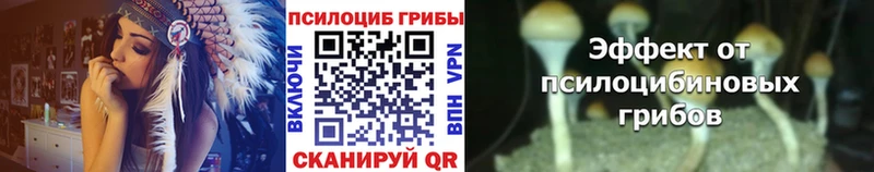 Псилоцибиновые грибы прущие грибы Брюховецкая